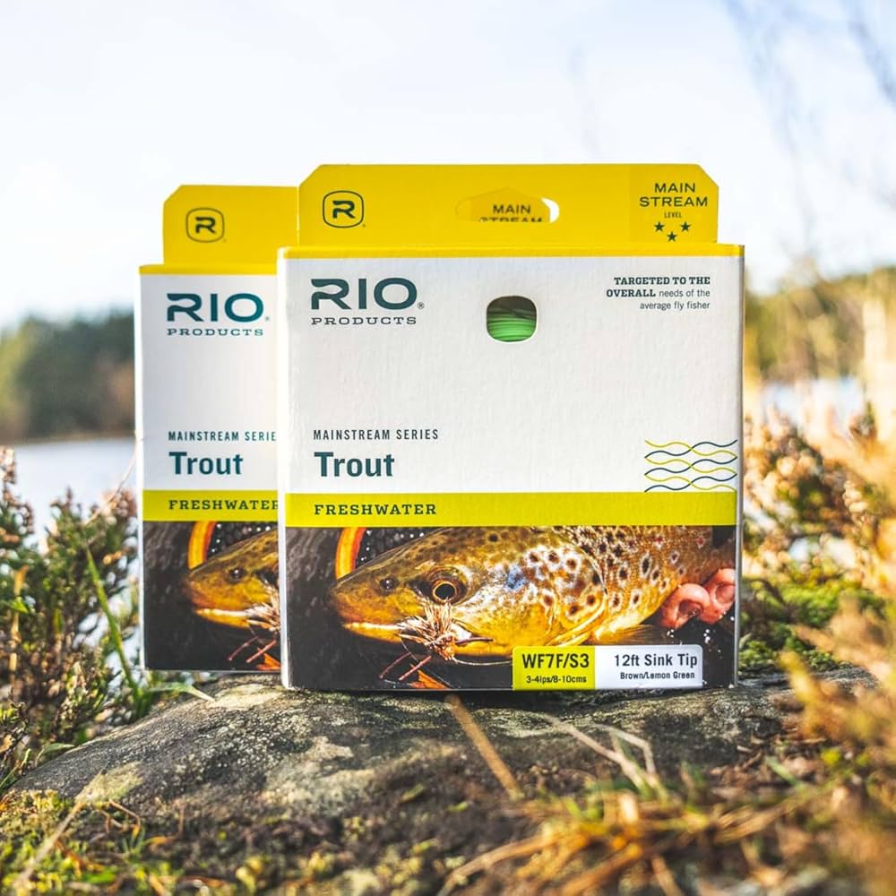 Amazon.com: RIO Products Mainstream Trout DT Fly Line